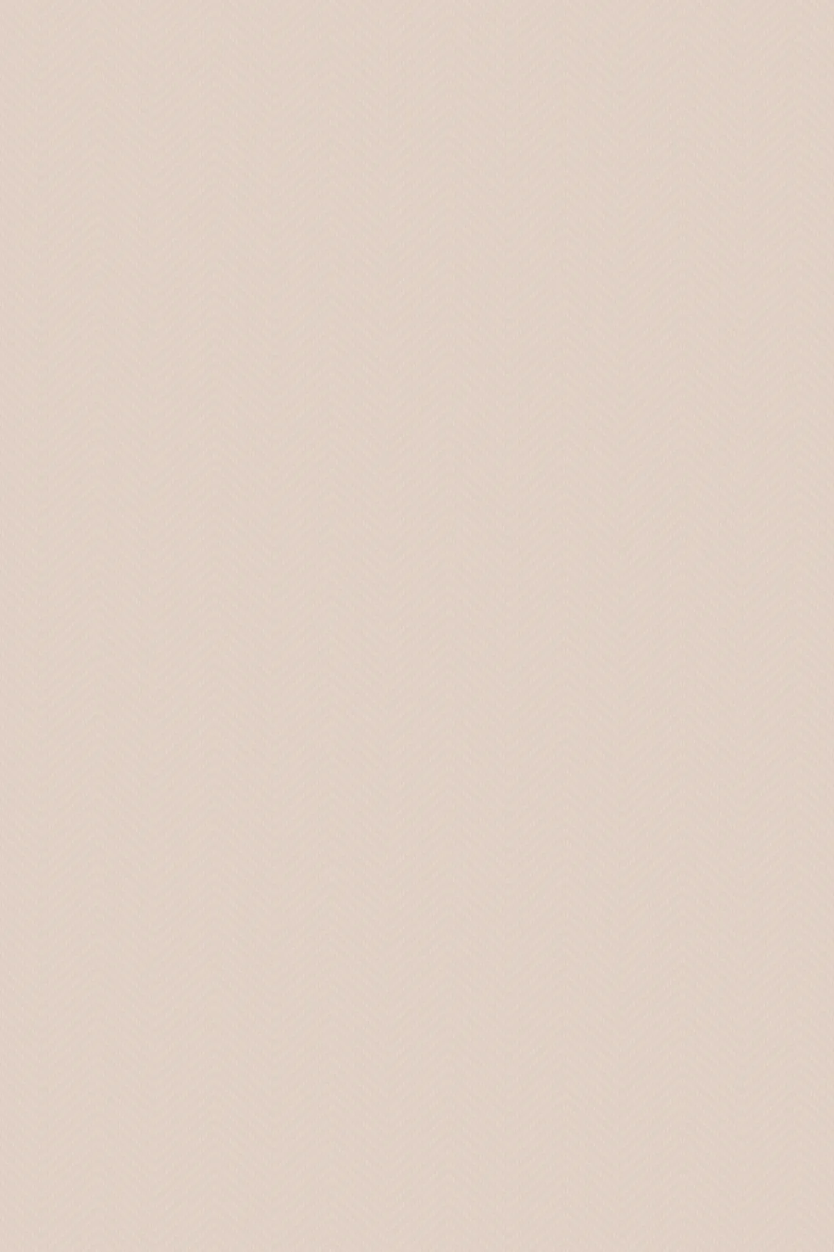 CS-4007